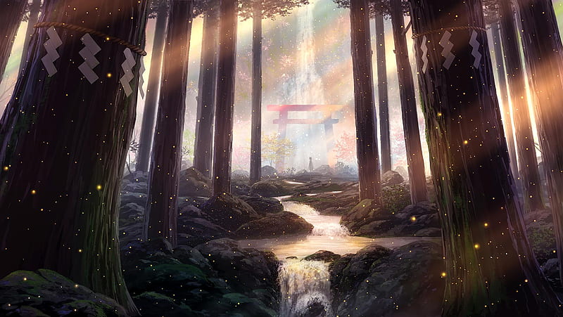 Magical Forest, HD wallpaper
