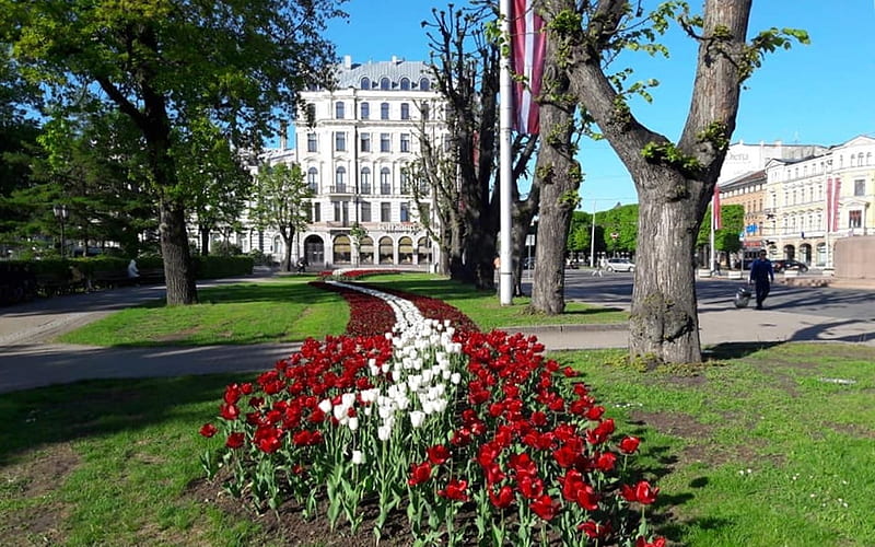 Spring in Riga, Latvia, houses, Riga, flags, Latvia, garden, tulips, street, HD wallpaper