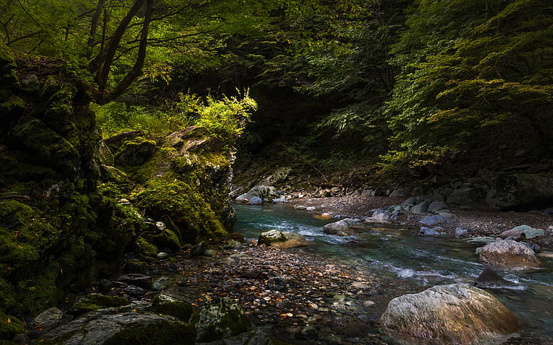 Iya Valley, mountain stream, rocks, mountains, forest, green trees, Tokushima, japan, HD wallpaper