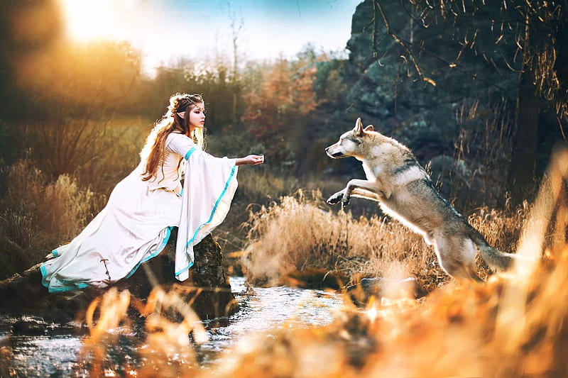 Come to Me, Sky, bonito, White, trees, Wolf, Water, Mountains, Creek, Elf, Long Dress, Woman, Sunrise, Blue, Autumn, Jumping, Brown, Beige, gris, HD wallpaper