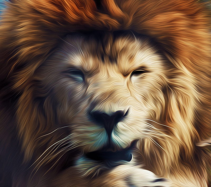 Lion, jungle, king, HD wallpaper