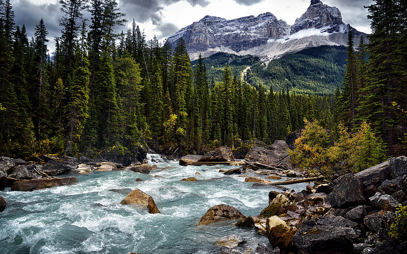 mountain river, beautiful mountain landscape, forest, stones, Canada, HD wallpaper