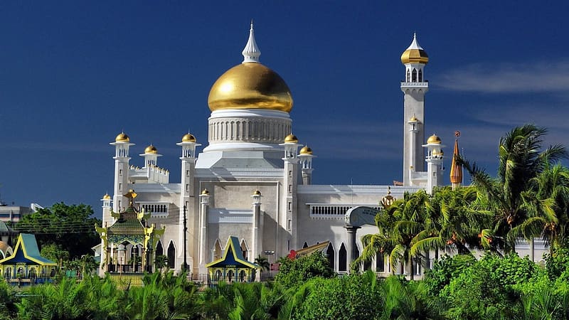 Building, Mosque, Religious, Palm Tree, Sultan Omar Ali Saifuddin Mosque, Omar Ali Saifuddin, Bandar Seri Begawan, Brunei, Mosques, HD wallpaper