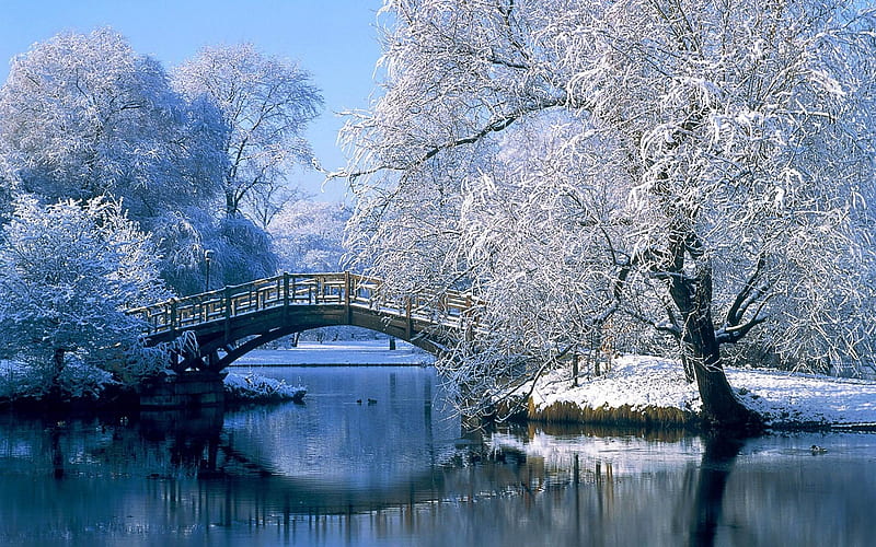 The Winter Bridge through a Lake-beautiful natural landscape, HD wallpaper
