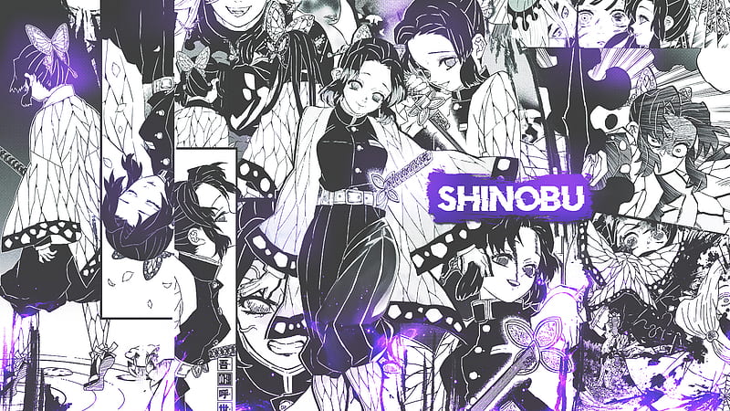 Demon Slayer Shinobu Kochou On Different Views Anime, HD wallpaper