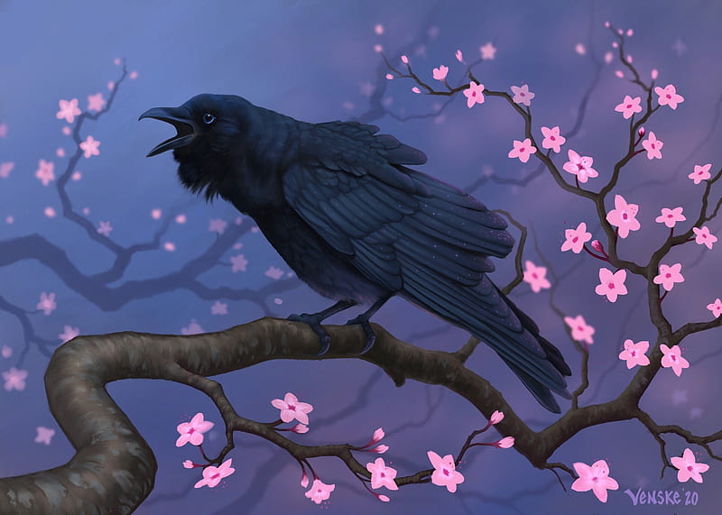 Spring is here again, john venske, flower, black, pasari, crow, blue, art, raven, spring, bird, primavara, HD wallpaper