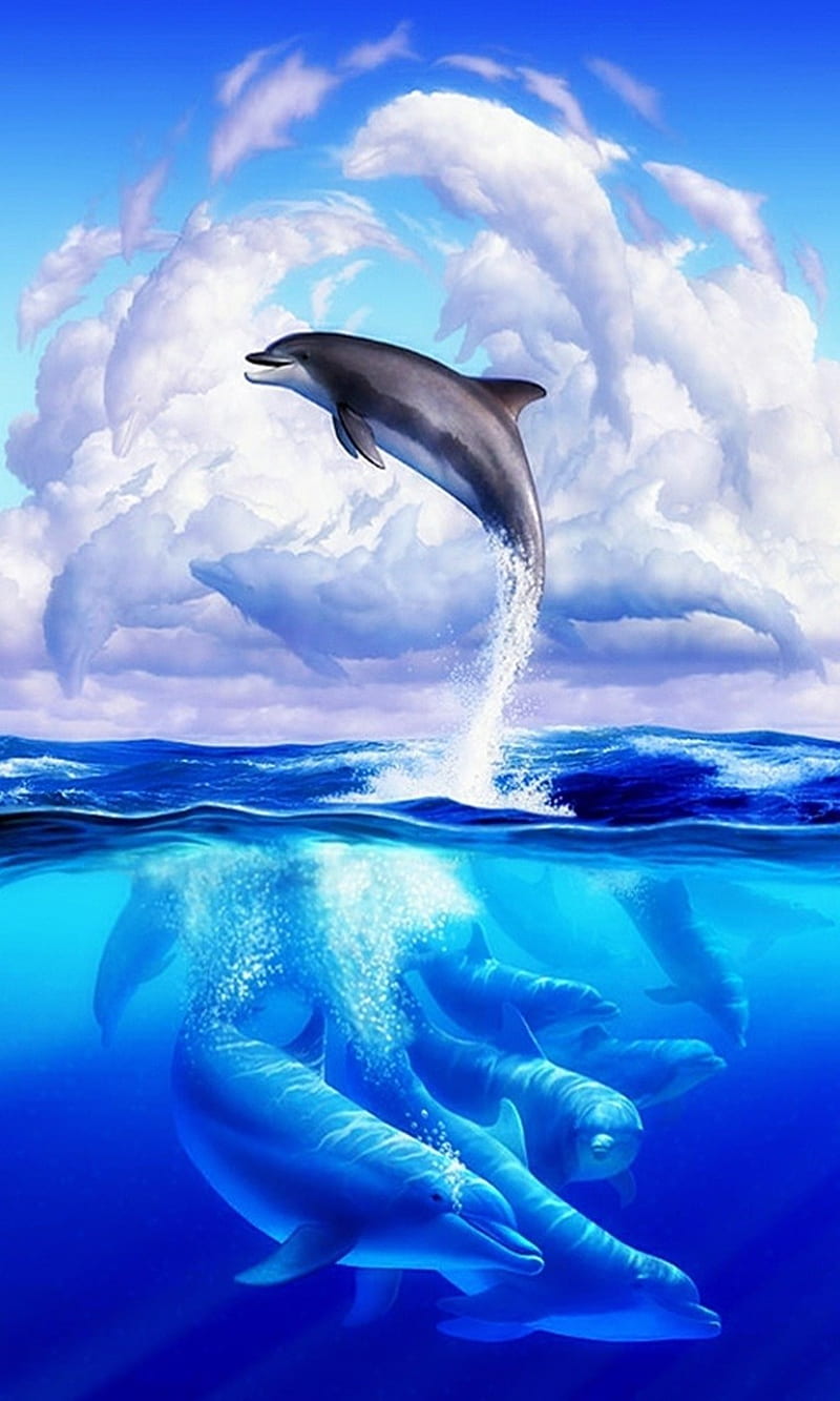 720P free download | dolphins, HD phone wallpaper | Peakpx