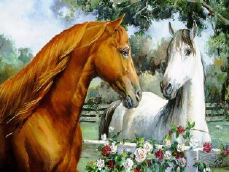 Love Hores, outside, flowers, nature, horse, animals, horses, HD wallpaper