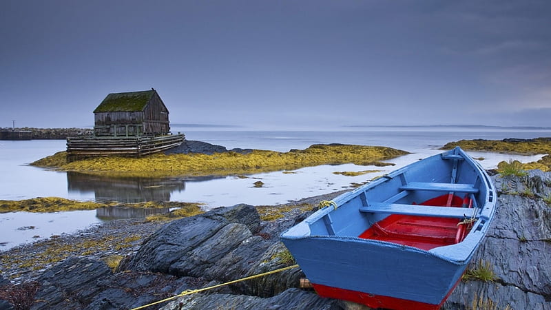 row boat on rocks in nova scotia, beach, rocks, boat, grass, cabin, reflection, HD wallpaper