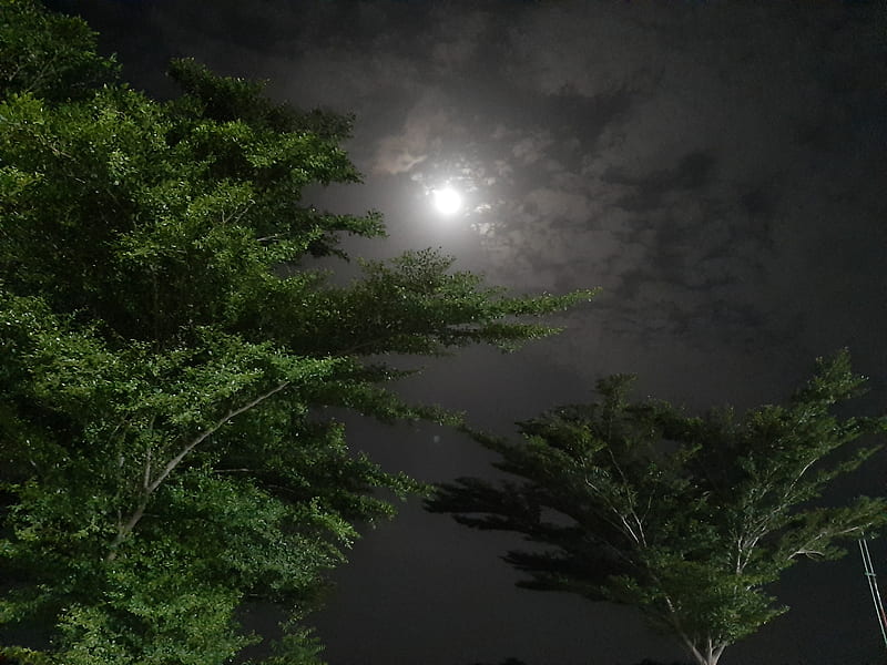 Night Moon, bonito, nature, pakistan, sky, HD wallpaper