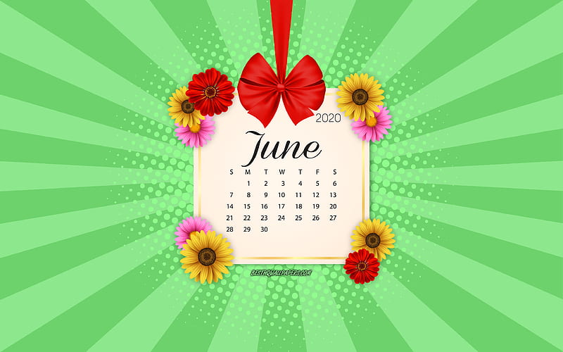 2020 June Calendar, green background, summer 2020 calendars, June, 2020 calendars, summer flowers, retro style, June 2020 Calendar, calendar with flowers, HD wallpaper