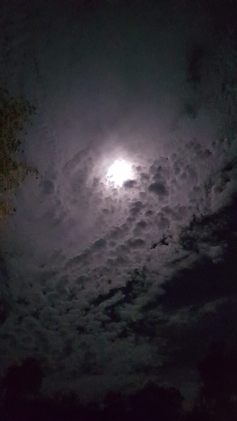 Moon, moon, moonlight, claro de luna, clouds, nubes en el cielo, sky, night, night, luz de luna, HD phone wallpaper