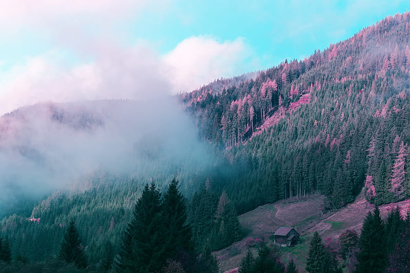 mountains, house, trees, forest, fog, HD wallpaper