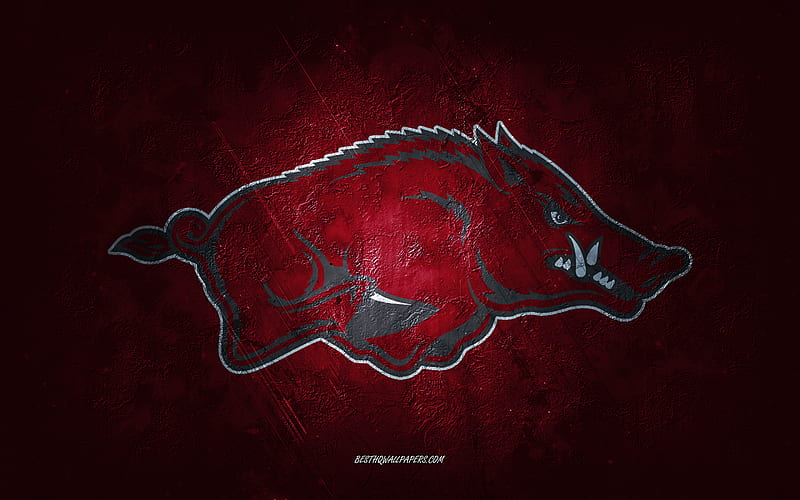 Hogs Wallpaper  Download to your mobile from PHONEKY