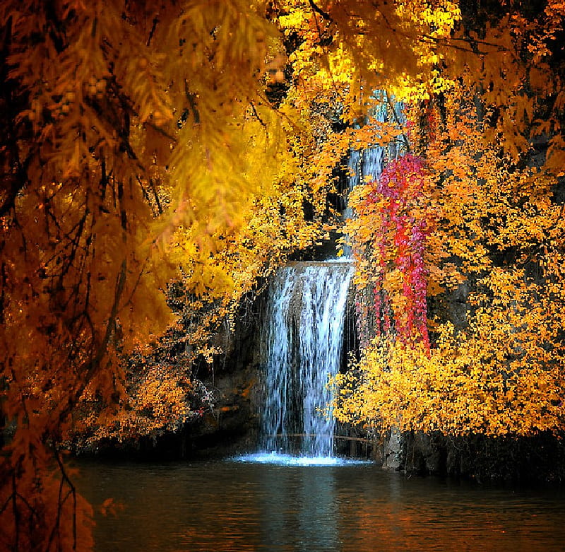 Let It Flow, autum, water, waterfall, nature, lake, HD wallpaper