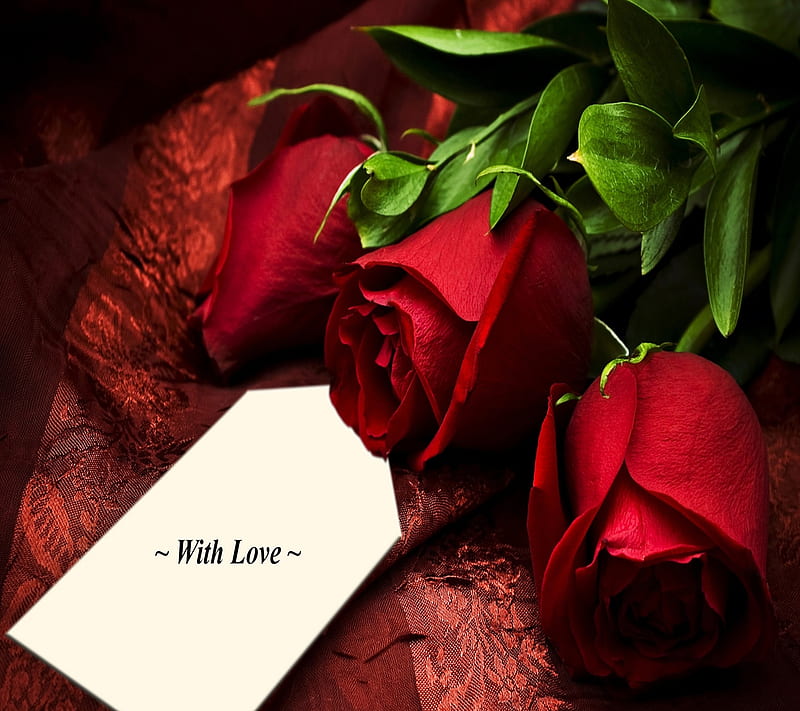 love roses, always, couple, feelings, gift, heart, nice, romance, HD wallpaper
