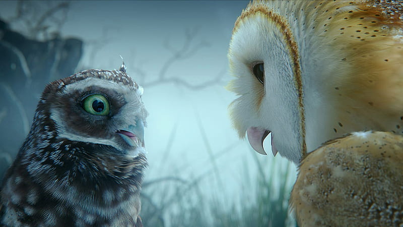Legend of the Guardians-The Owls of GaHoole movie 11, HD wallpaper