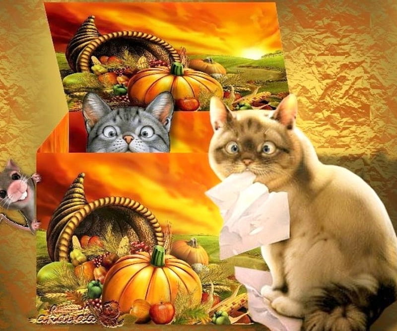 Quilty Cats, autumn, colors, thanksgiving, pumpkin, basket, mouse, digital, funny, cats, HD wallpaper