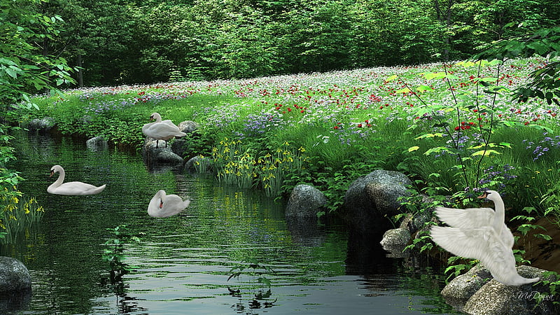 Swans Serenity, wild flowers, firefox persona, spring, creek, trees, swans, green, love, summer, meadow, HD wallpaper