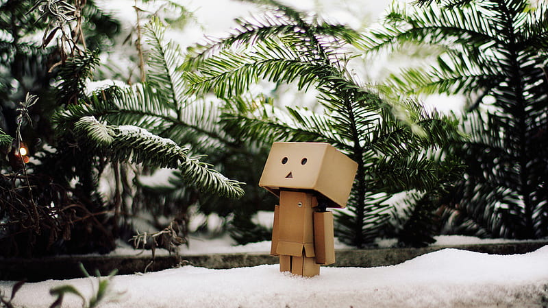 Danbo in snow, tree, snow, box, robot, danbo, HD wallpaper | Peakpx