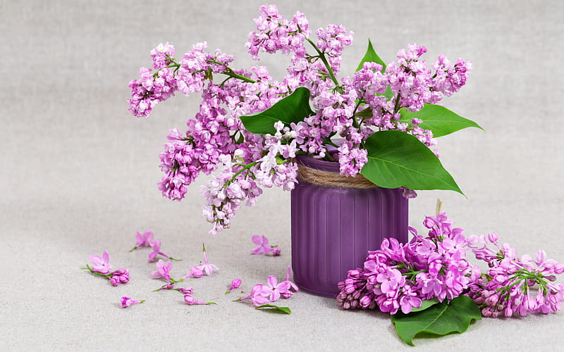 lilac, spring flowers, a vase with lilacs, purple flowers, beautiful bouquet of lilacs, HD wallpaper