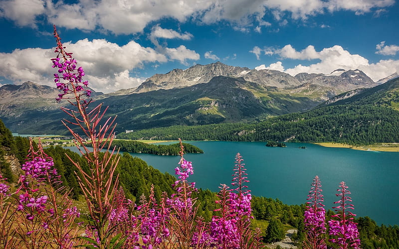 Alpine Lake, flowers, clouds, mountains, lake, HD wallpaper