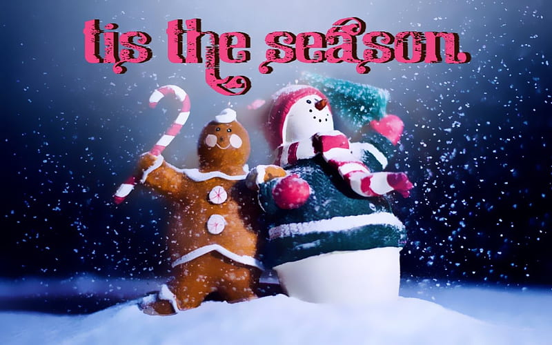 Tis the Season, christmas, snowing, snow, candy cane, snowman, gingerbread man, winter, HD wallpaper