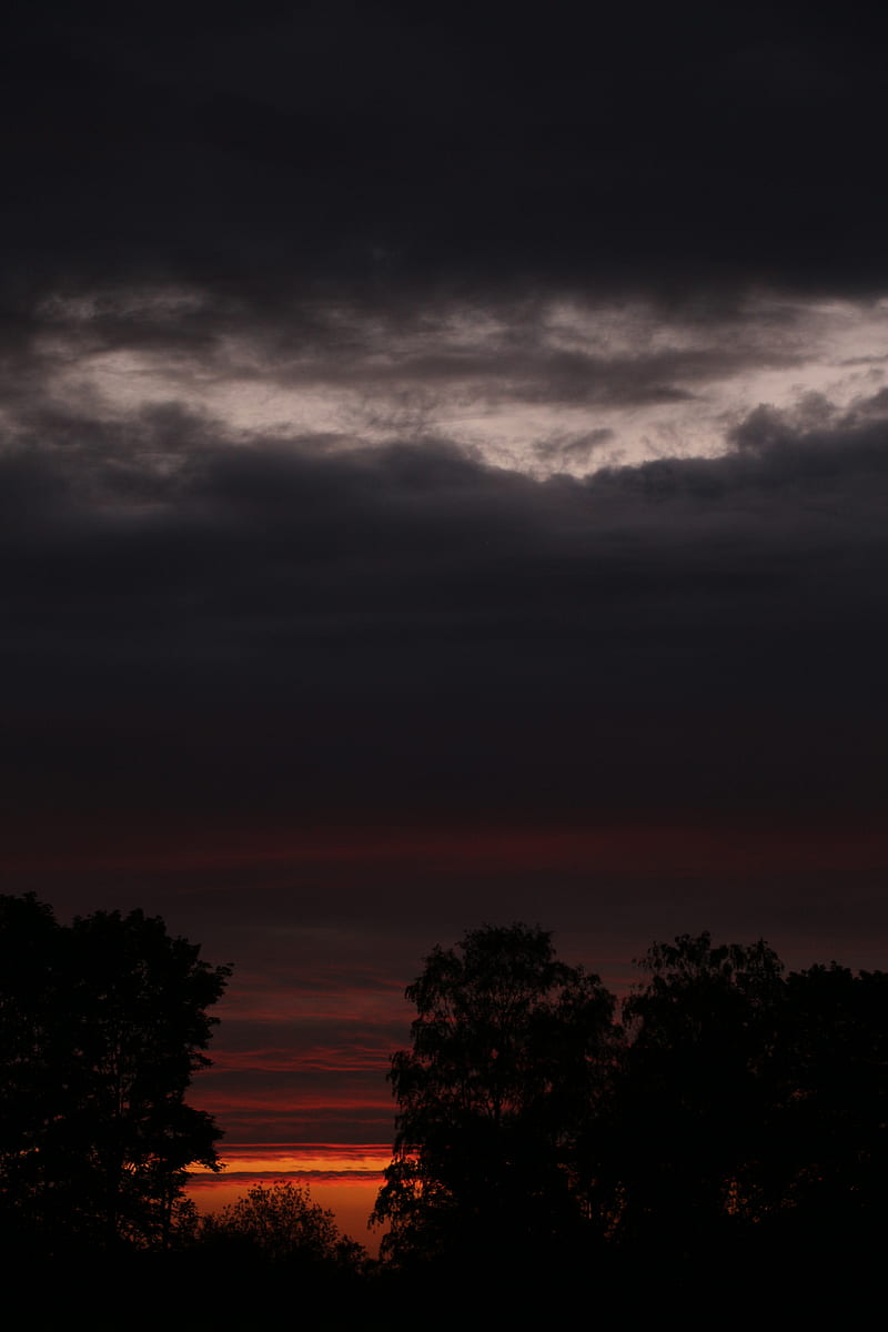 sunset, trees, silhouette, sky, HD phone wallpaper