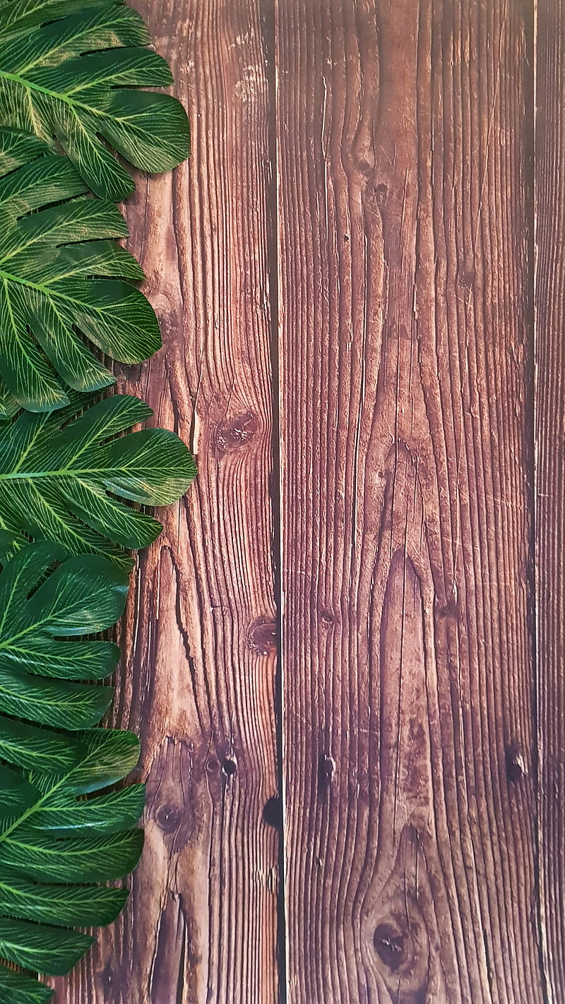 tropical leaves wood, brown, green, plant, wooden background, HD phone wallpaper