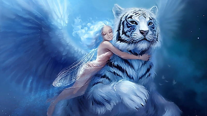 tiger love, fantasy, tiger, blue, love, HD wallpaper