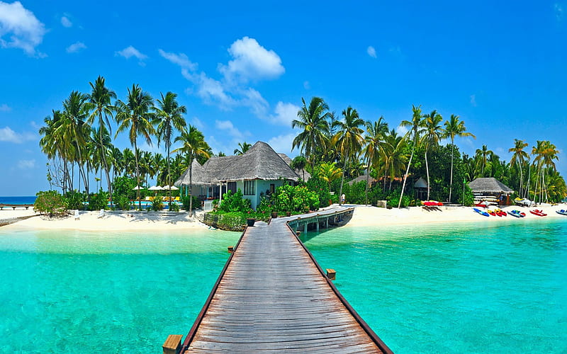 tropical island, beach, bungalows, Maldives, boats, palm trees, summer travel, HD wallpaper