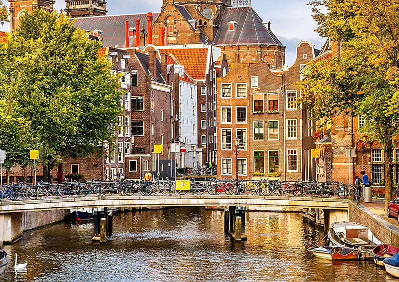 *** NEDERLAND - Amsterdam ***, city, water, trees, houses, HD wallpaper