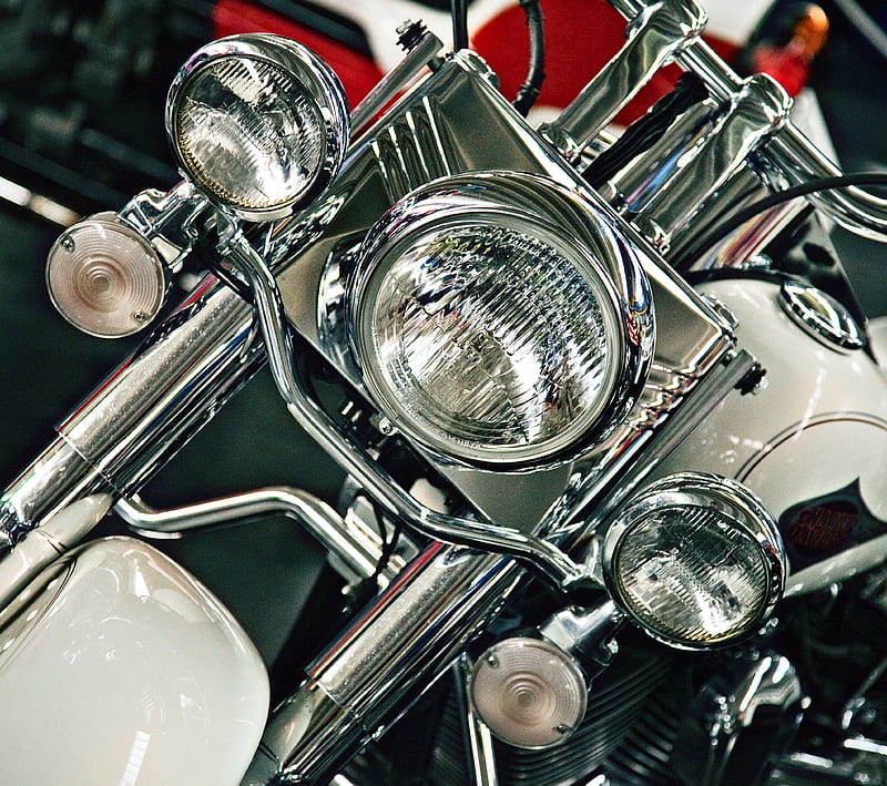 A Harley 5, bike, davidson, harley, harleydavidson, hog, motorcycle, HD wallpaper