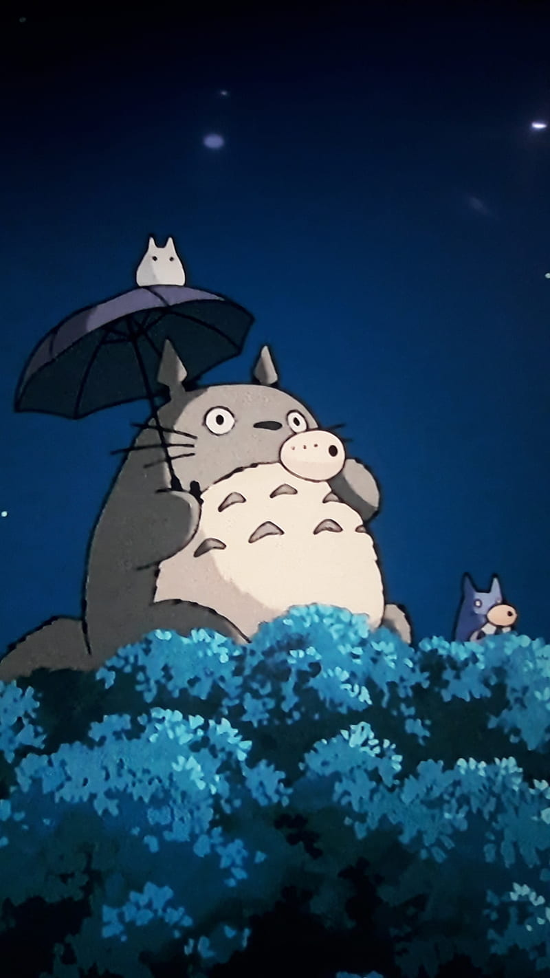 Totoro, dibujos animados, noche, Fondo de pantalla de teléfono HD | Peakpx