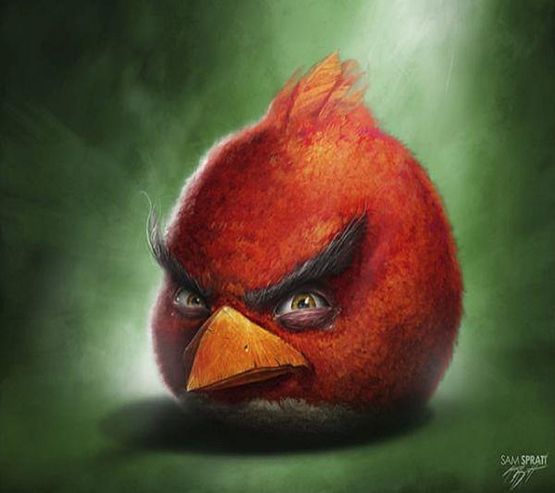 Realistic Angry Bird, animated, bird, cartoon, game, realistic, HD  wallpaper | Peakpx