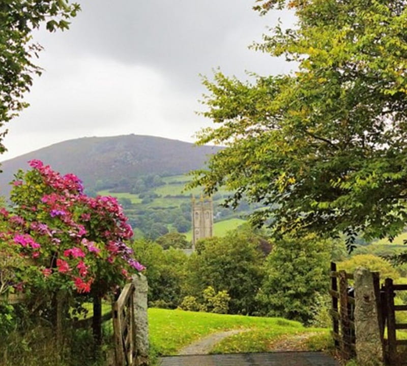 gateway to nature, trees, shrubs, grass, mountains, HD wallpaper