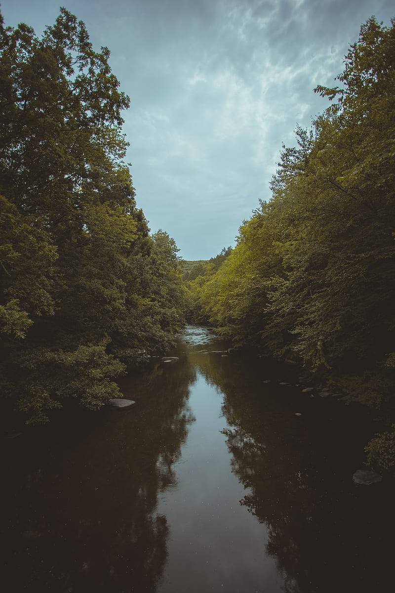 river, trees, water, nature, landscape, HD phone wallpaper