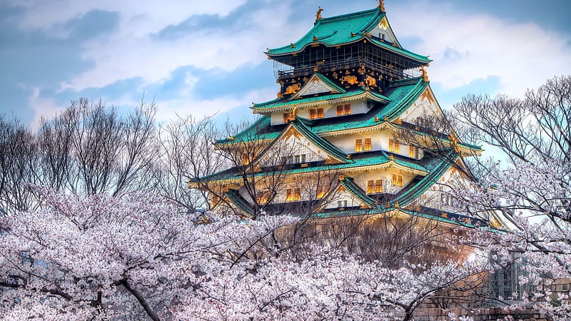 Osaka Castle, japan, blossom, spring, japan, castle, HD wallpaper