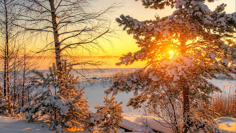 Russian winter, snow, ice, sunset, sunrise, russian, frost, winter, sun, bonito, trees, HD wallpaper