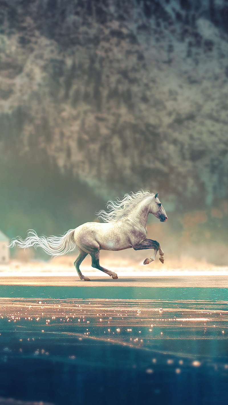 Running Ultra, Animals, Horses, running, horse, animal, HD wallpaper |  Peakpx