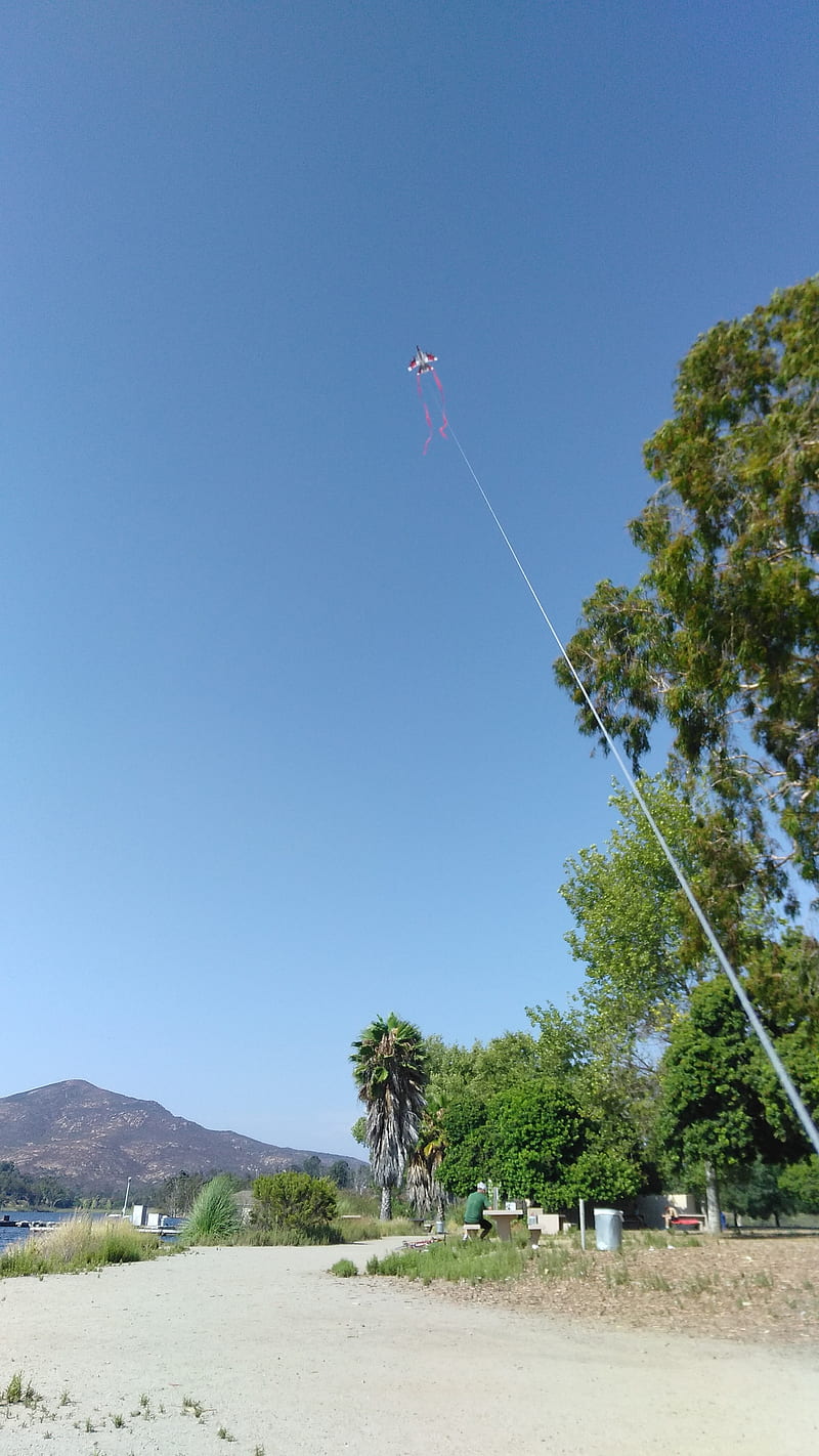 Fly kite, flying, park, HD phone wallpaper