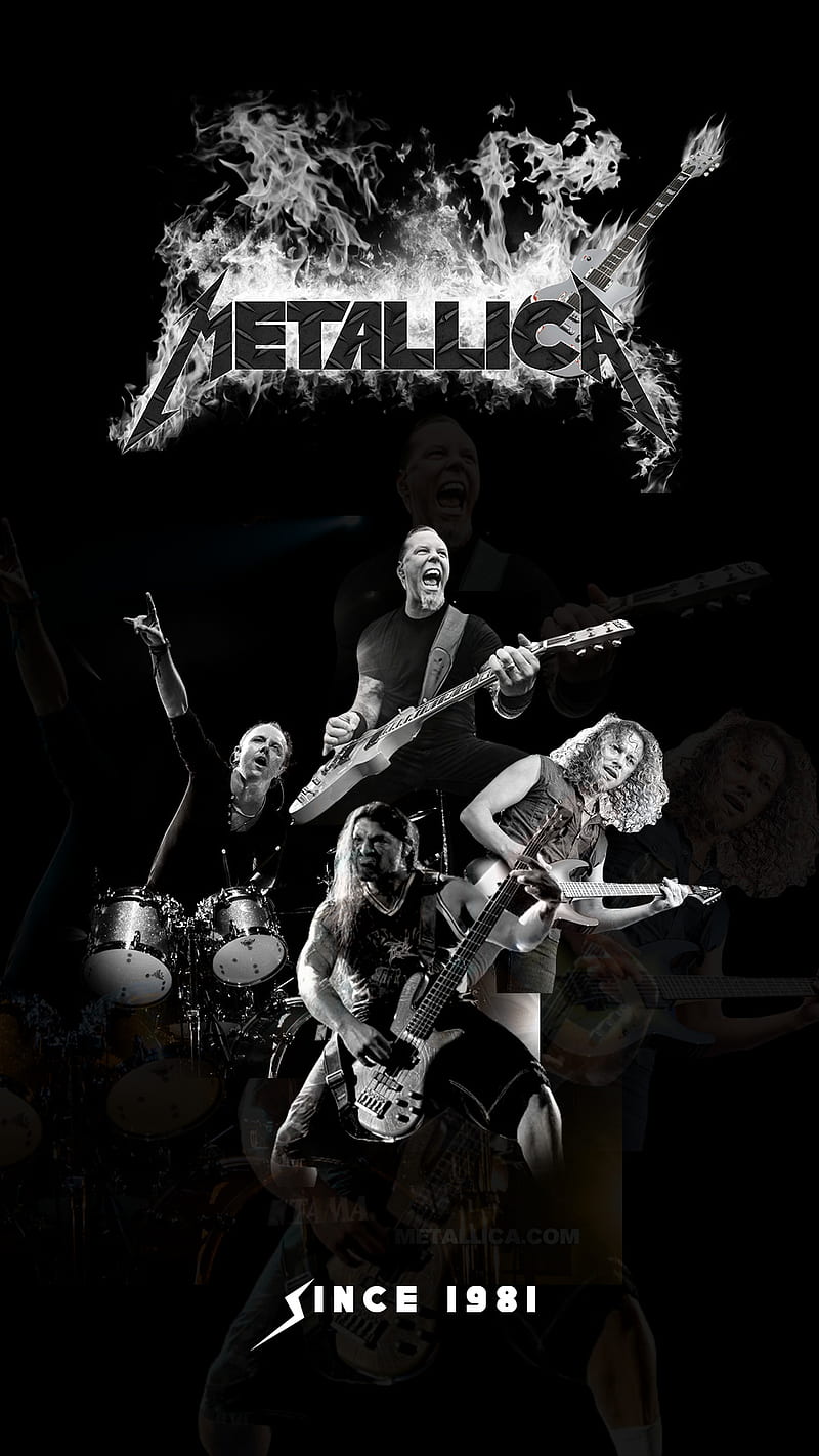 Metallica BW, artist, black and white, music, rock, HD phone wallpaper