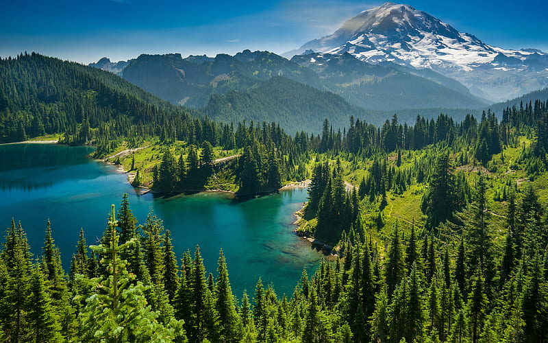 Mount Rainier National Park lake, forest, mountains, Mount Rainier, USA, America, summer, HD wallpaper