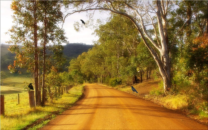 Rustic Road, path, rustic, way, road, HD wallpaper | Peakpx