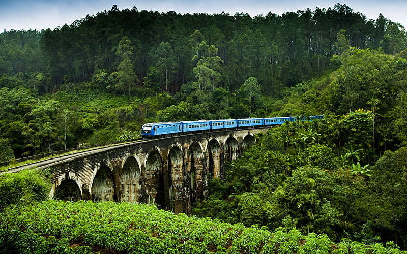 Sri Lanka, railway, bridge, train, plantation, HD wallpaper
