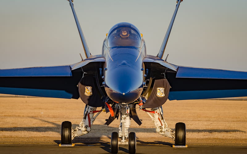 McDonnell Douglas, F-18 Hornet, Blue Angels, F-18, Fighter, aerobatic team, HD wallpaper