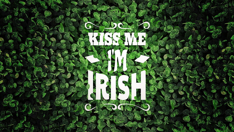 kiss me i,m irish, irish, clovers, four, leaf, HD wallpaper