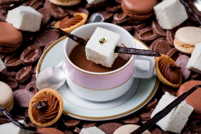 Hot Chocolate For Two, Cup, Cookies, Chocolate, Hot, Sweet, HD wallpaper