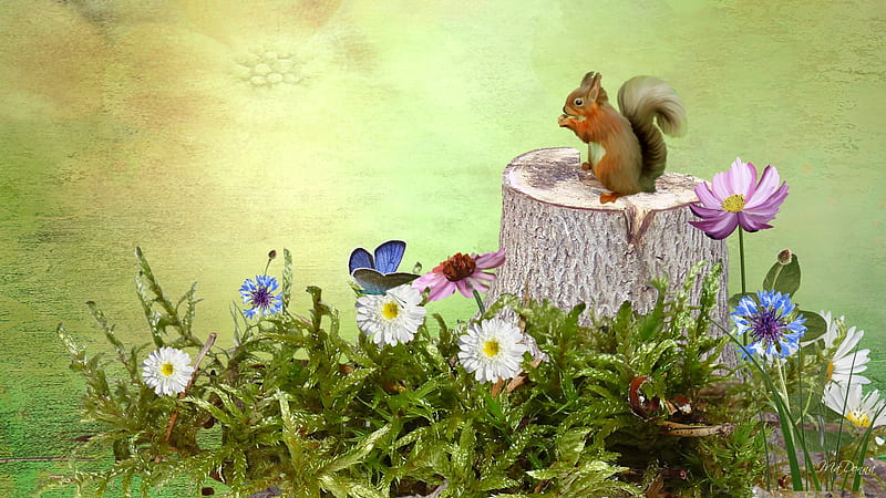 Squirrel on a Stump, tree, squirrel, summer, moss, flowers, firefox persona, stump, field, HD wallpaper