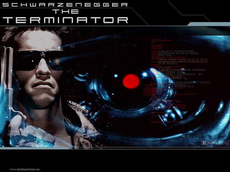 The Terminator, its so cool, arnold schwarzenegger, robot, HD wallpaper